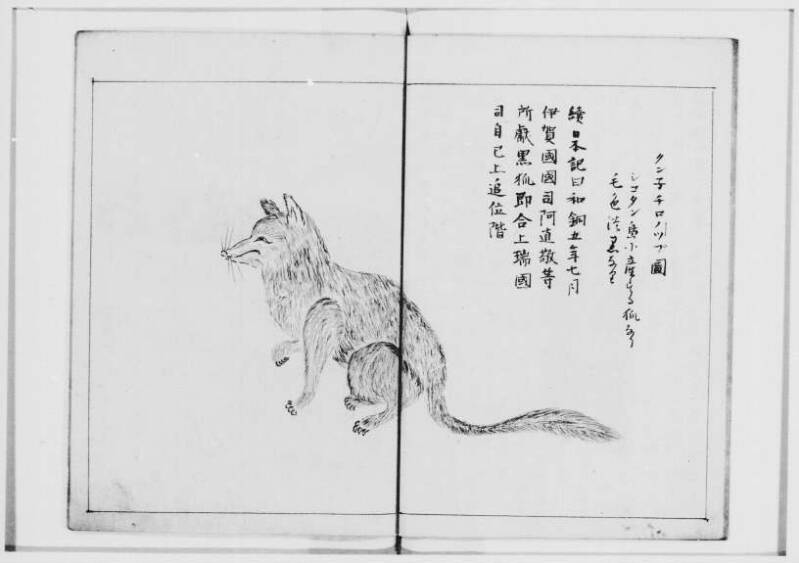  蝦夷奇観（北海道大学附属図書館） - ページ 39