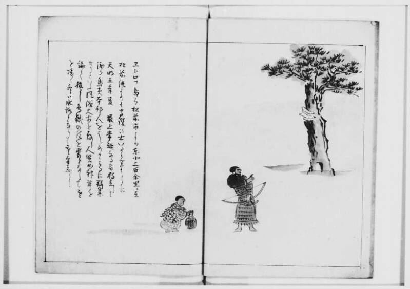  蝦夷奇観（北海道大学附属図書館） - ページ 41