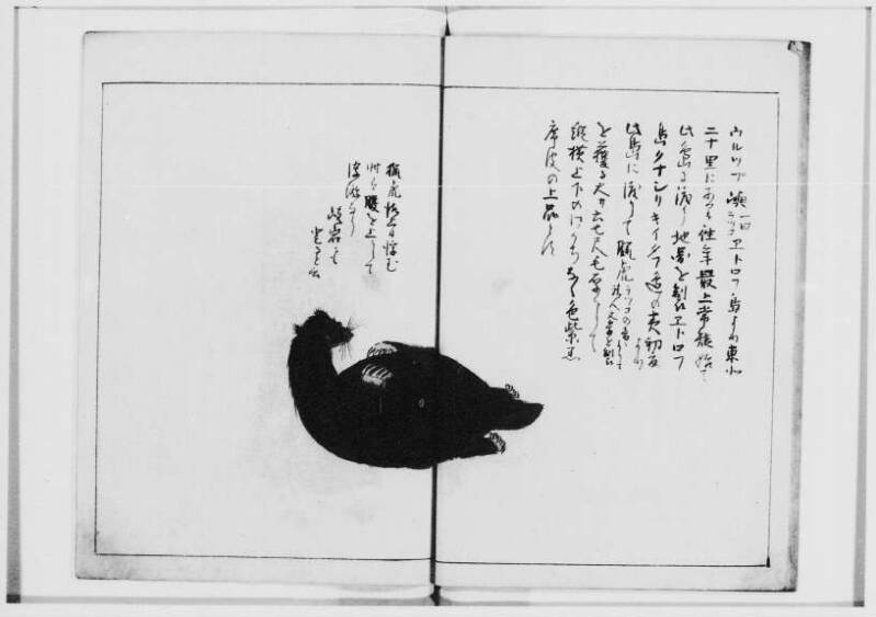  蝦夷奇観（北海道大学附属図書館） - ページ 42