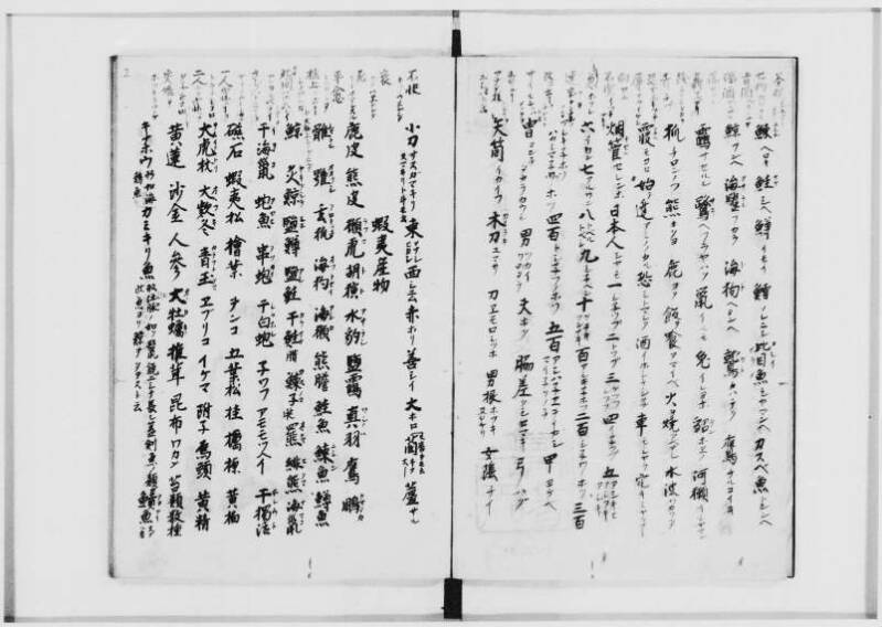 蝦夷拾遺　正・補（北海道大学附属図書館） - ページ 49