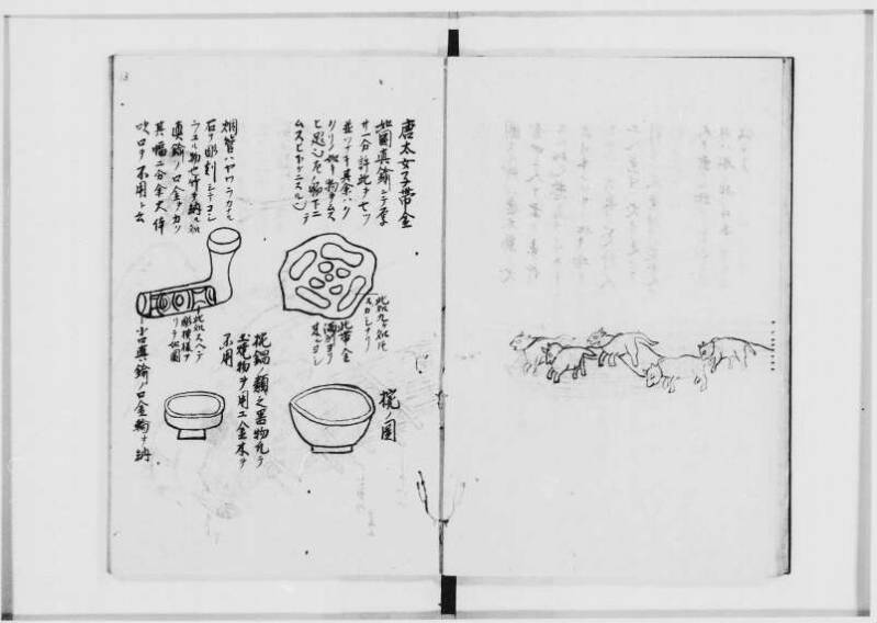 蝦夷拾遺　正・補（北海道大学附属図書館） - ページ 60