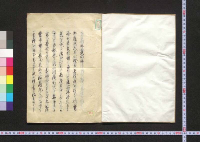 牛痘の辨 - ページ 3