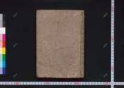 Sanjuusangendoutouzaikidenyanaginoito