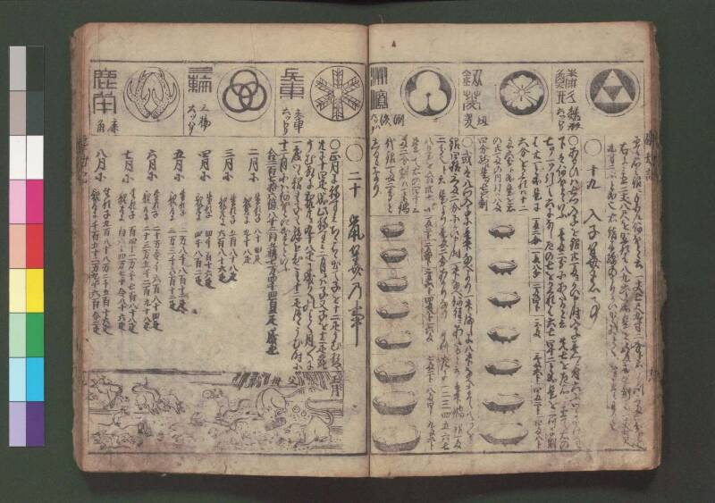 萬寳塵劫記大全 元文三 桑木文庫和書328 善本 - ページ 23