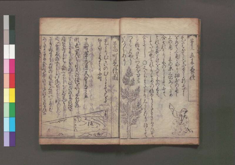 改算記 万治二 桑木文庫/和書/356 - ページ 165
