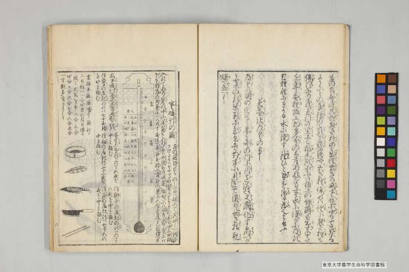 養蠶實驗録 - ページ 11