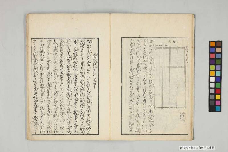 養蠶實驗録 - ページ 13