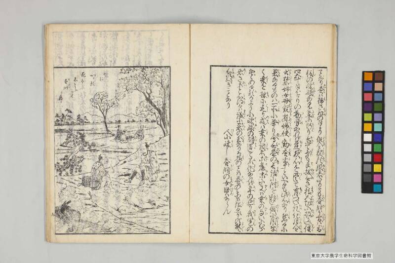 養蠶實驗録 - ページ 14