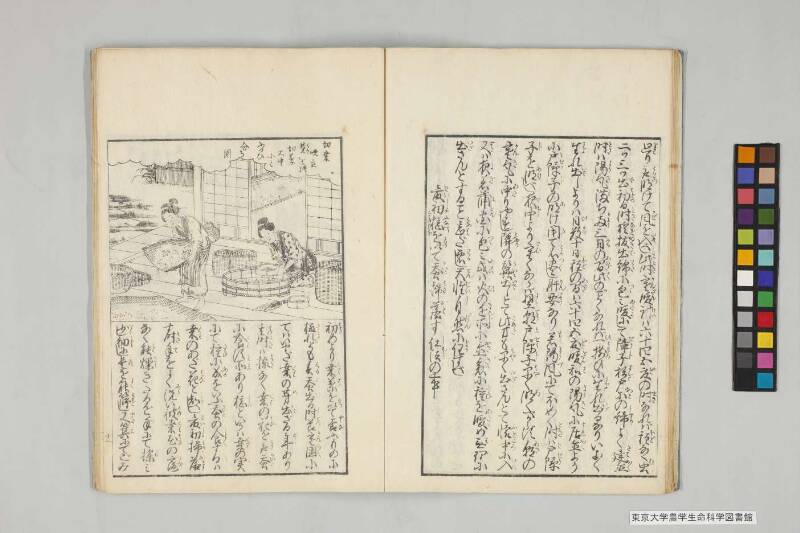 養蠶實驗録 - ページ 17