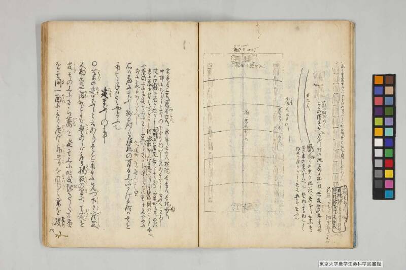 養蠶實驗録後編 - ページ 13