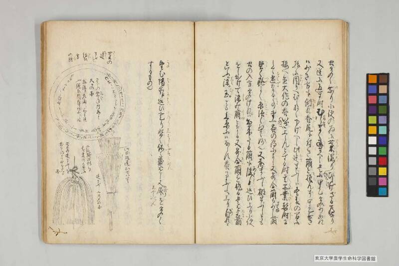 養蠶實驗録後編 - ページ 15