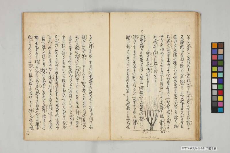 養蠶實驗録後編 - ページ 35