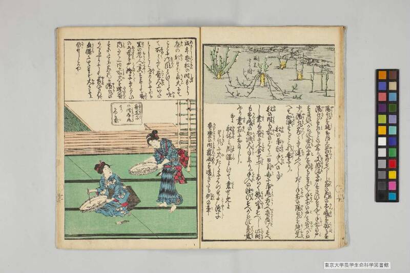 養蠶圖解 - ページ 9