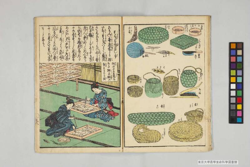養蠶圖解 - ページ 10
