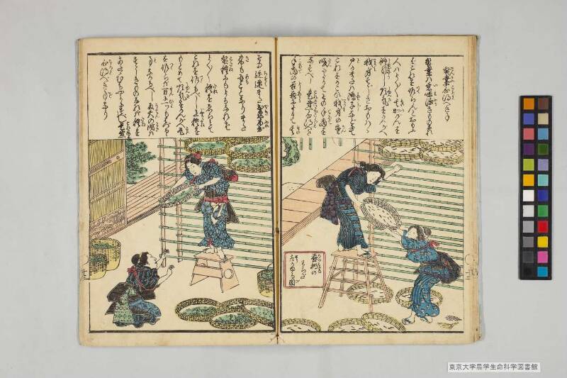 養蠶圖解 - ページ 11