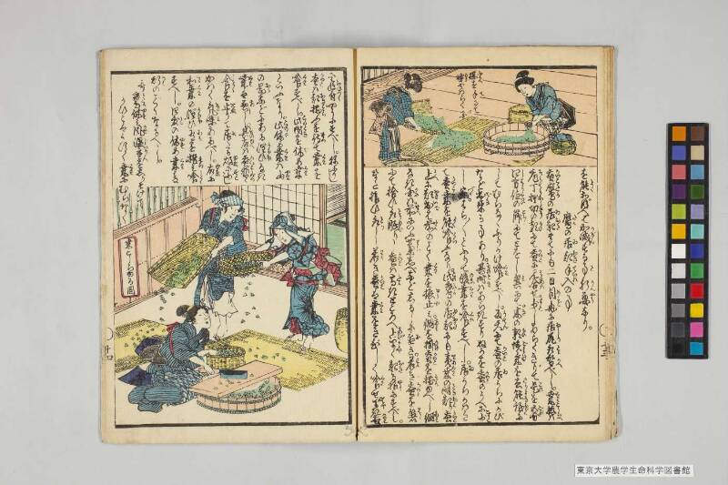 養蠶圖解 - ページ 12