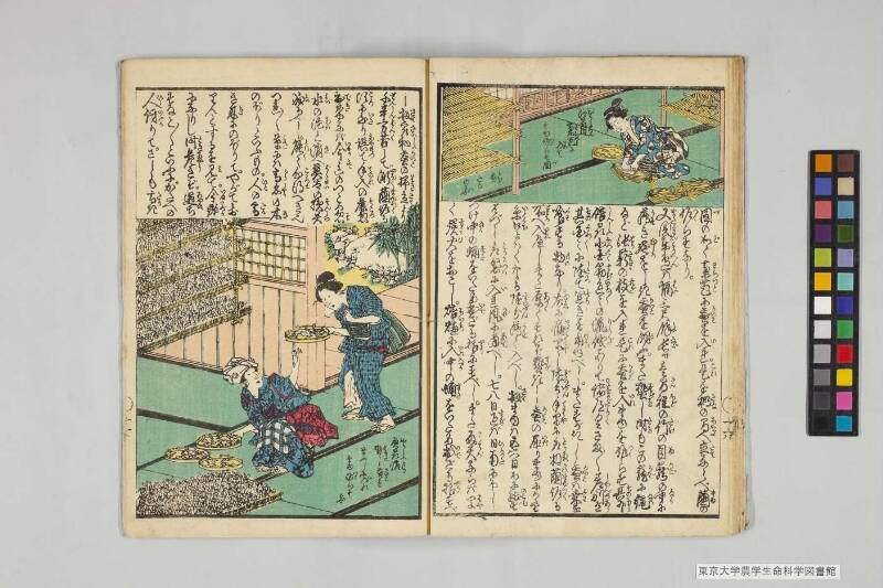 養蠶圖解 - ページ 15
