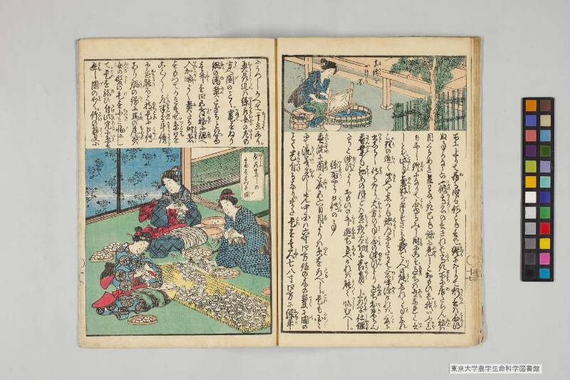 養蠶圖解 - ページ 16