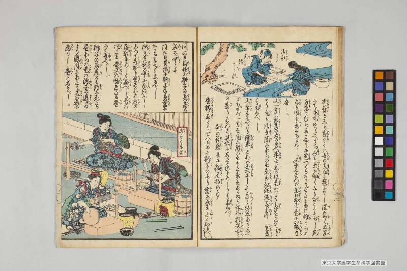 養蠶圖解 - ページ 17