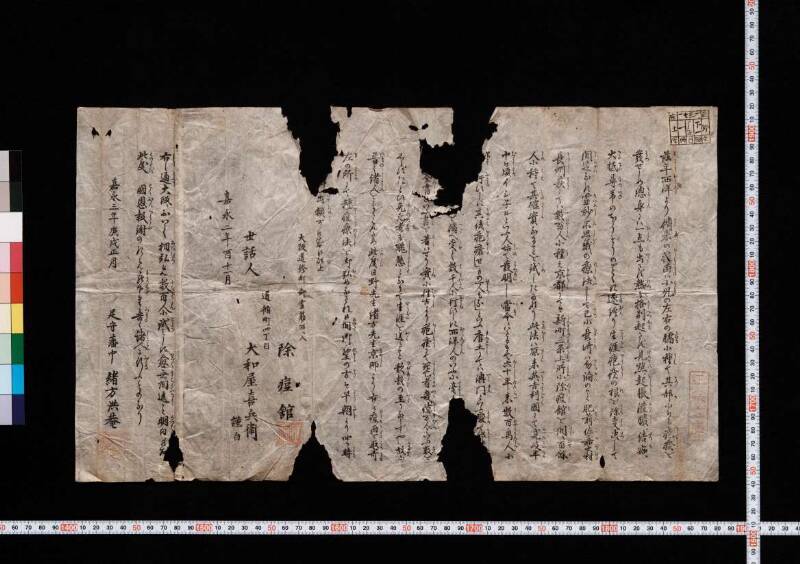 〔種痘功能書〕 - ページ 2