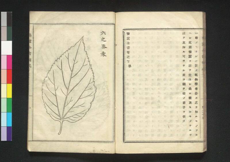 養蠶全書 - ページ 55