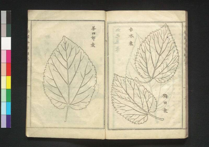 養蠶全書 - ページ 56