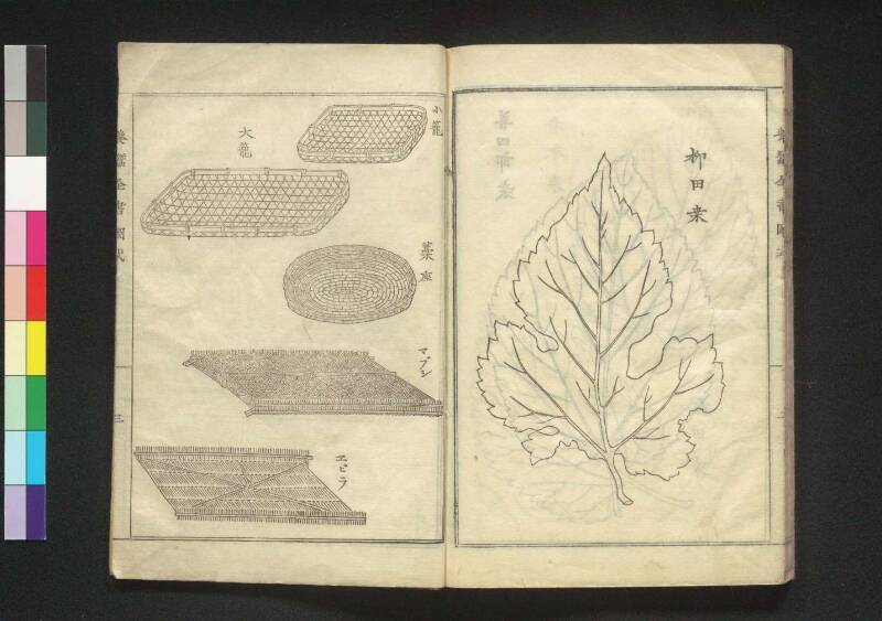 養蠶全書 - ページ 57