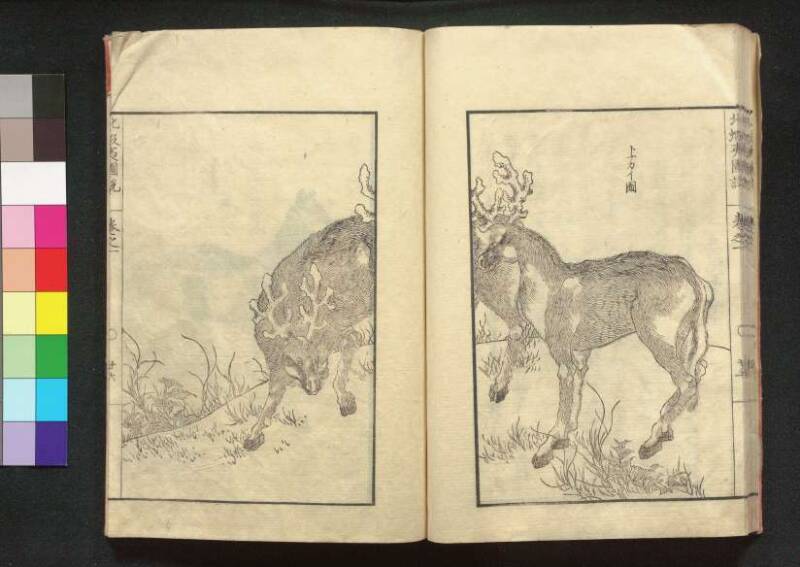 北蝦夷図説　巻1–4（茨城大学図書館） - ページ 33