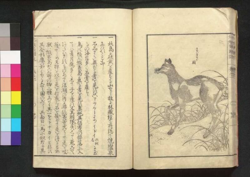 北蝦夷図説　巻1–4（茨城大学図書館） - ページ 34