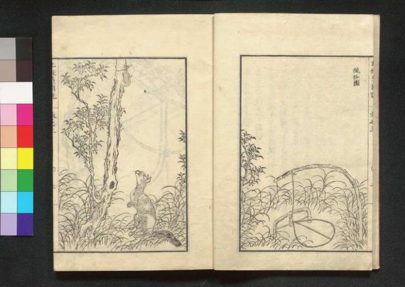 北蝦夷図説　巻1–4（茨城大学図書館） - ページ 71