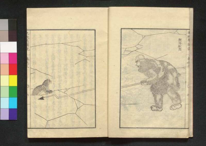 北蝦夷図説　巻1–4（茨城大学図書館） - ページ 74