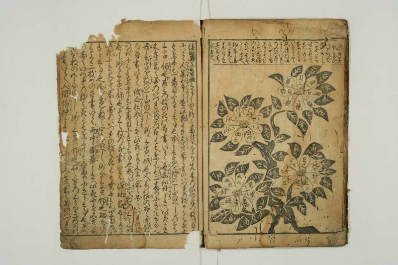 増補新編塵劫記 望月文庫T1A0/52/26 - ページ 76