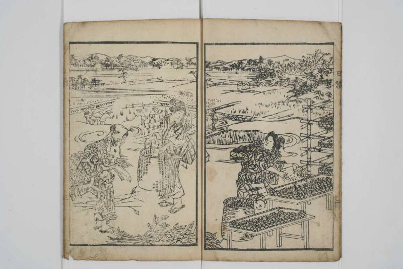 農蠶必要日読往来 - ページ 4