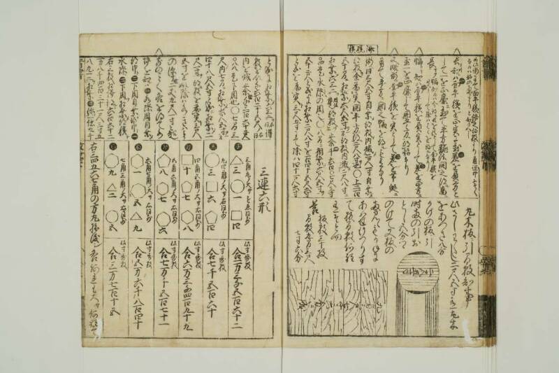 改算記綱目 貞享四 東京学芸大図T1A0/51/92 - ページ 116