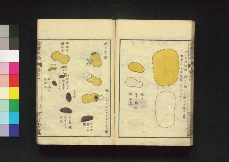 養蠶新論 - ページ 92