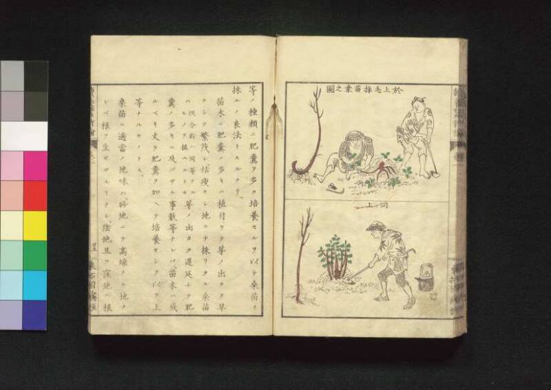 続養蚕新論 - ページ 34