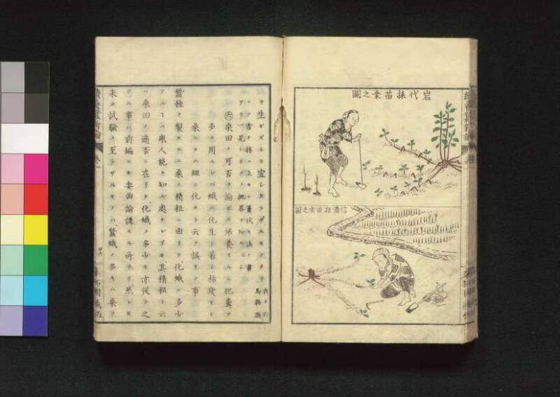 続養蚕新論 - ページ 35