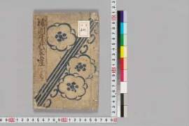 Gionmamorinidainoiezuto