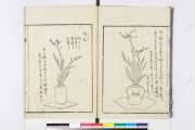 青山御流活花手引種　復刻版　前編後編 国書データベース
