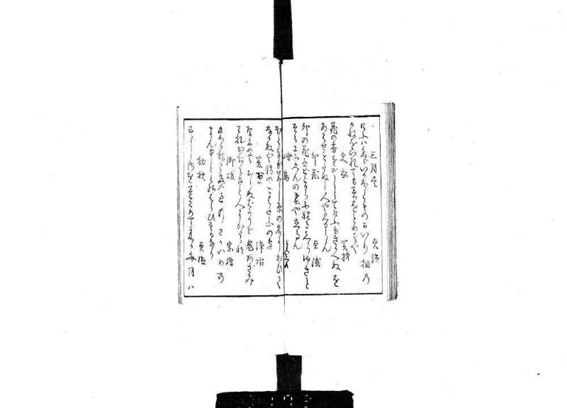 狂哥はまのきさご - ページ 11
