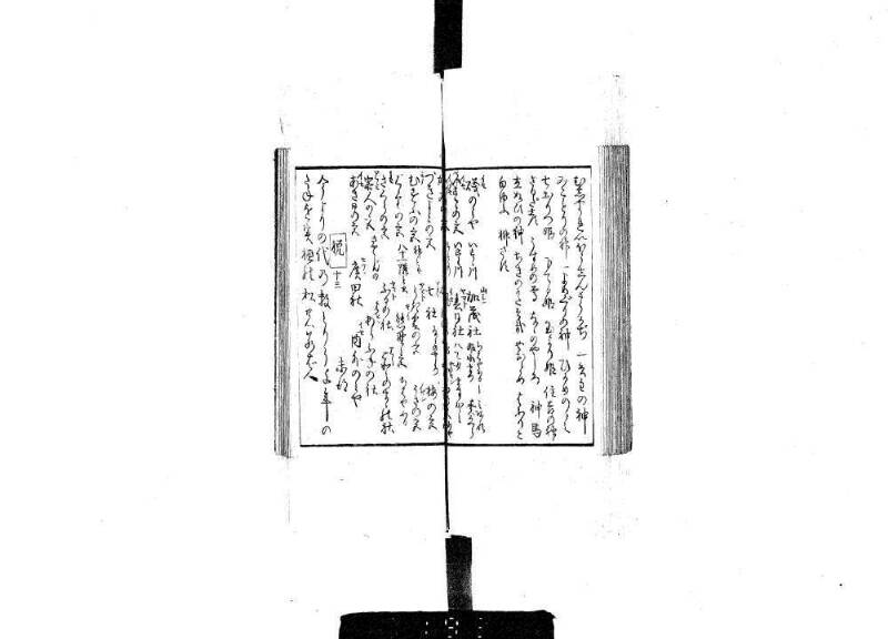 狂哥はまのきさご - ページ 31