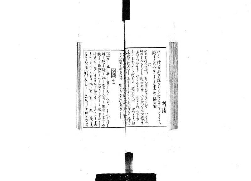 狂哥はまのきさご - ページ 32