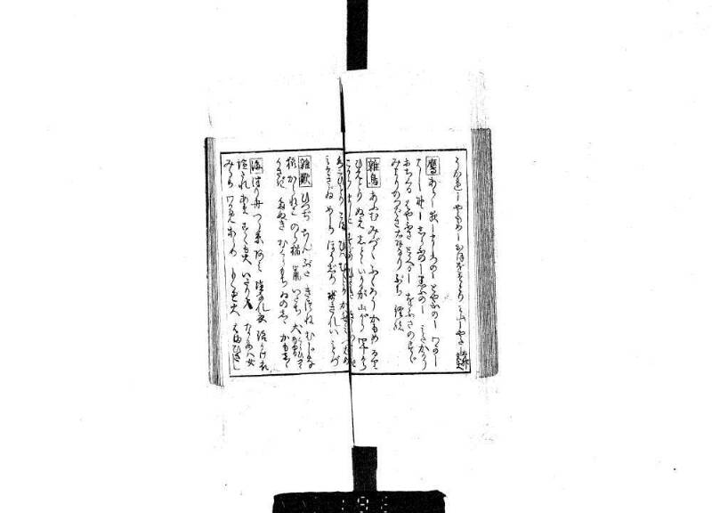 狂哥はまのきさご - ページ 34