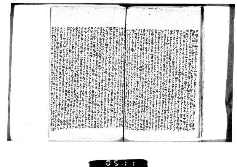桑蠶類囊隨筆 - ページ 42