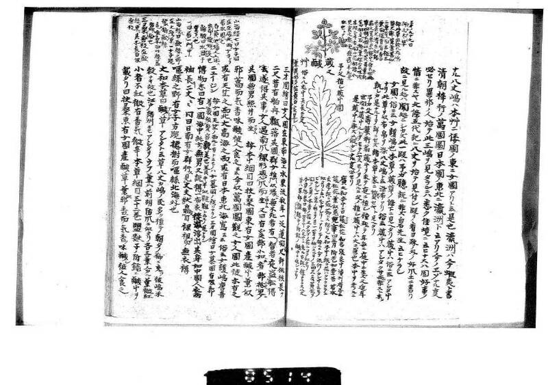 桑蠶類囊隨筆 - ページ 45