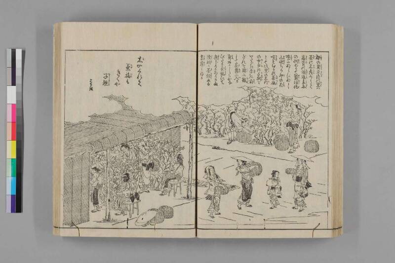 都名所圖繪 - ページ 309