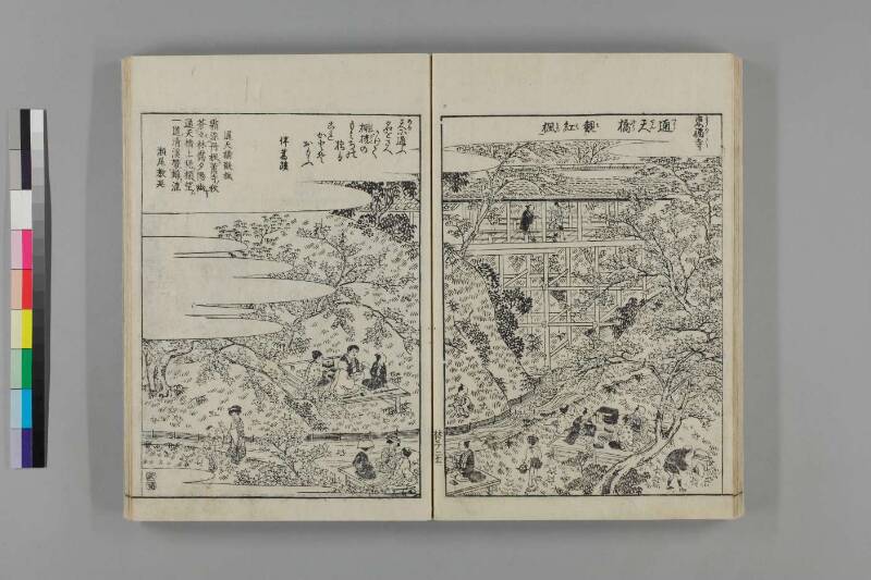 都林泉名勝圖會 - ページ 165