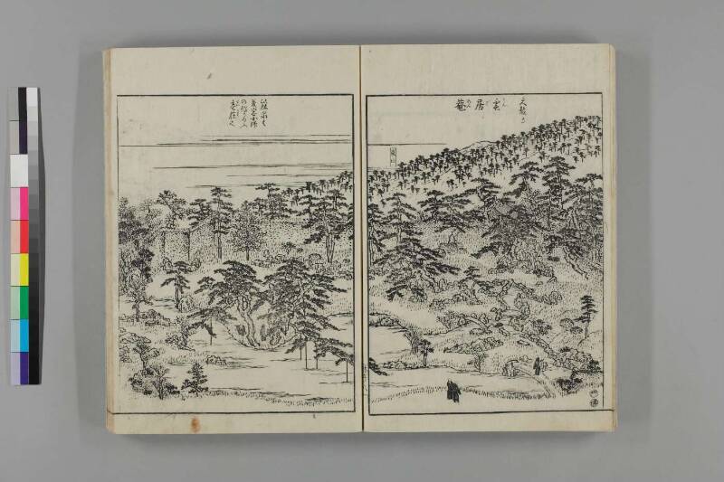 都林泉名勝圖會 - ページ 254