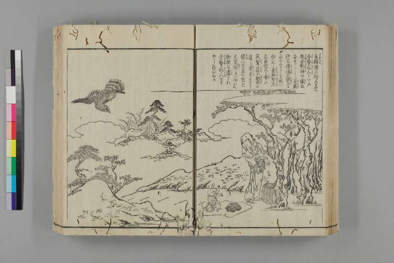 大和名所圖會 - ページ 35