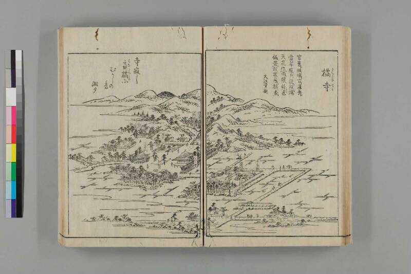 大和名所圖會 - ページ 250